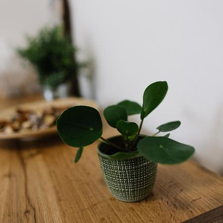 90 M2 Horsky Apartman V Centru Harrachova Buitenkant foto